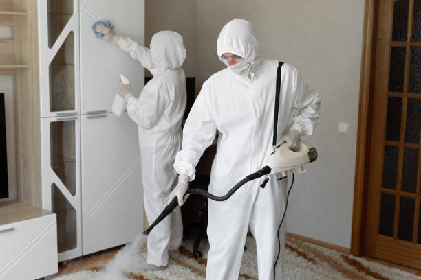 24/7 Emergency Odor Removal experts in Ozark, AR