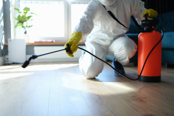 Reliable Odor Removal contractor in Ozark, AR by Dulley Family Biohazard Services